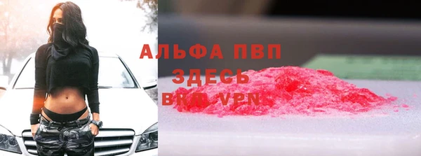 стаф Аша