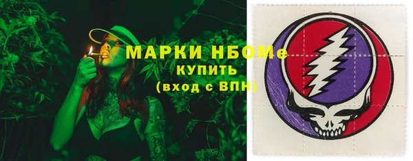 прущие грибы Ахтубинск